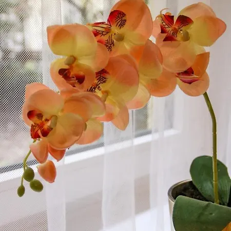 Avenue Апартаменты Будапешт